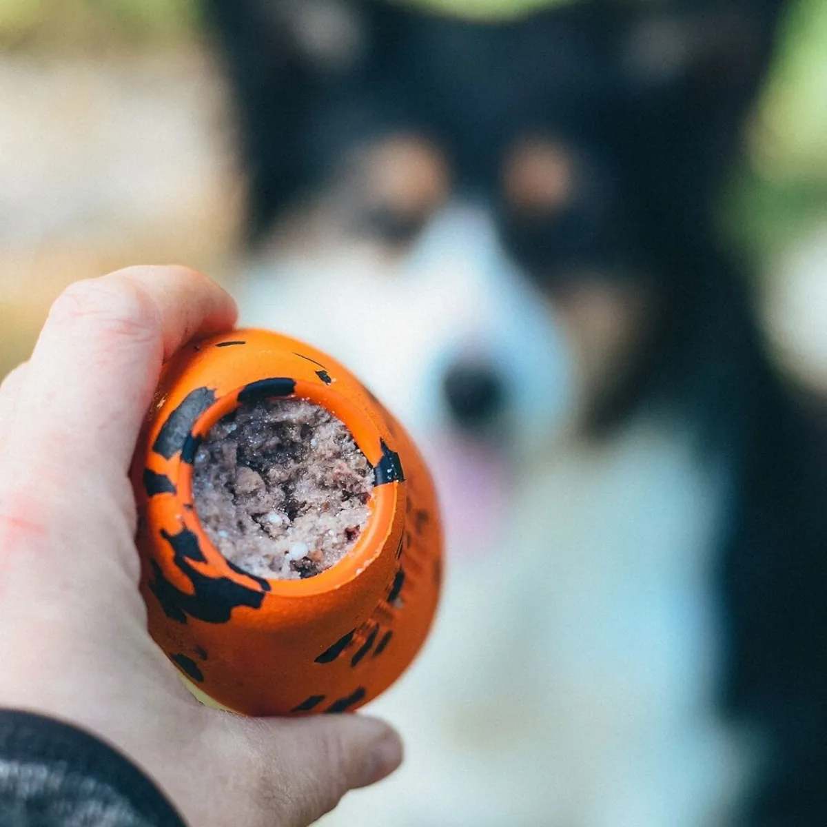 Non-Stop Dog kuminen aktivointilelu>Non-stop dogwear Discount