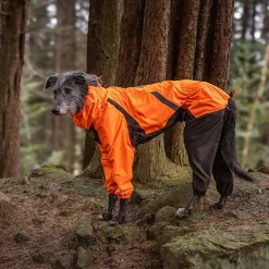 Fjord 2.0 sadehaalari koiralle>Non-stop dogwear Hot