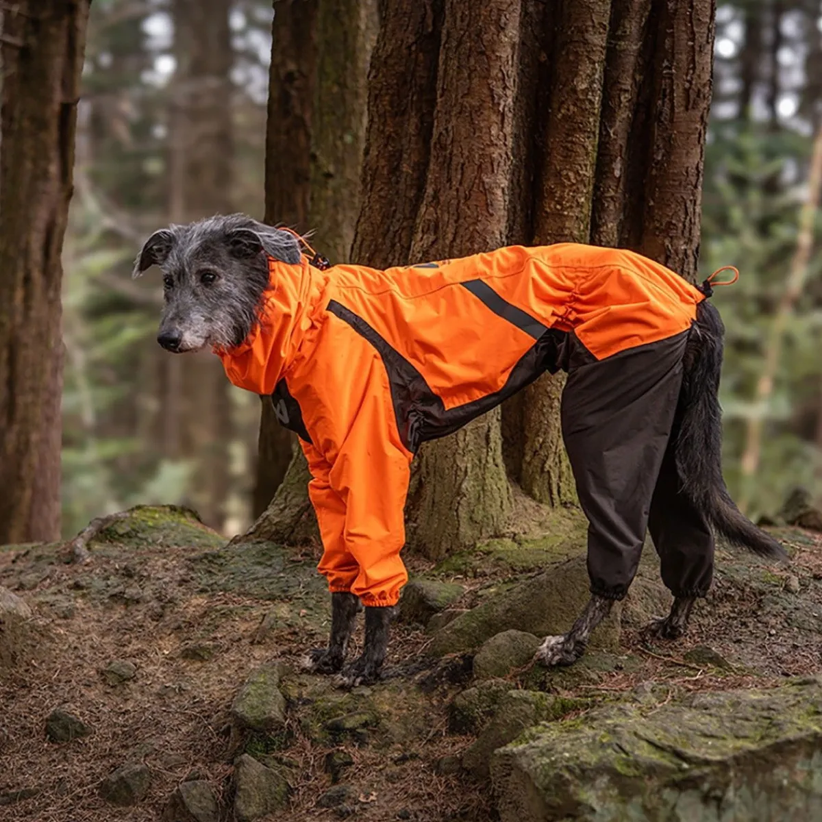 Fjord 2.0 sadehaalari koiralle>Non-stop dogwear Hot
