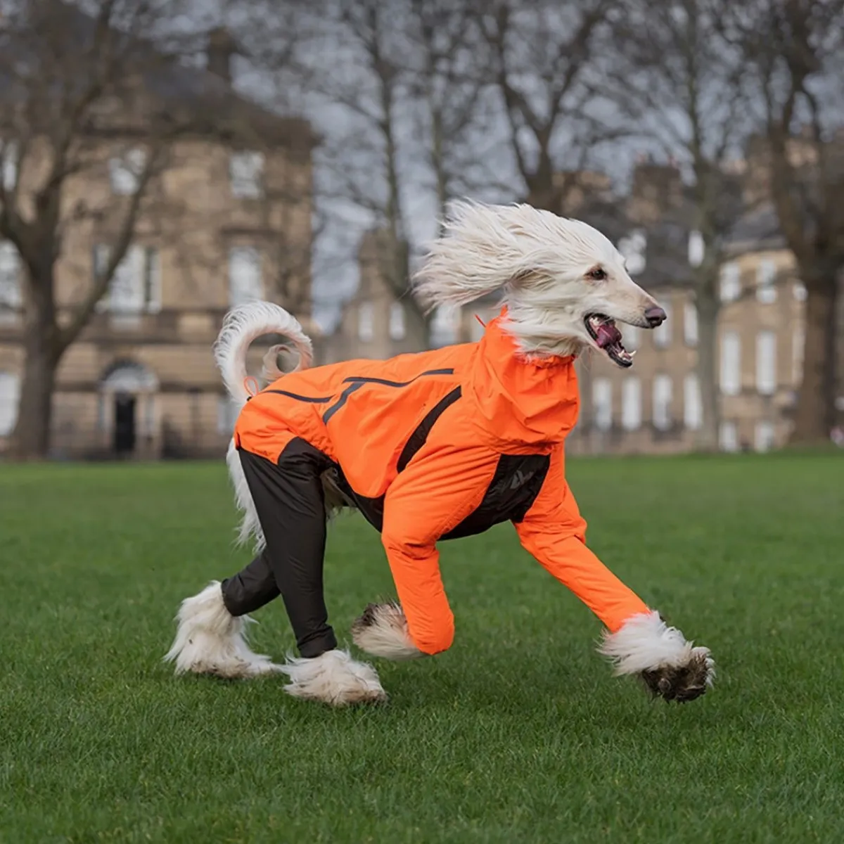 Fjord 2.0 sadehaalari koiralle>Non-stop dogwear Hot