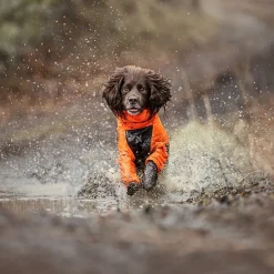 Fjord 2.0 sadehaalari koiralle>Non-stop dogwear Hot