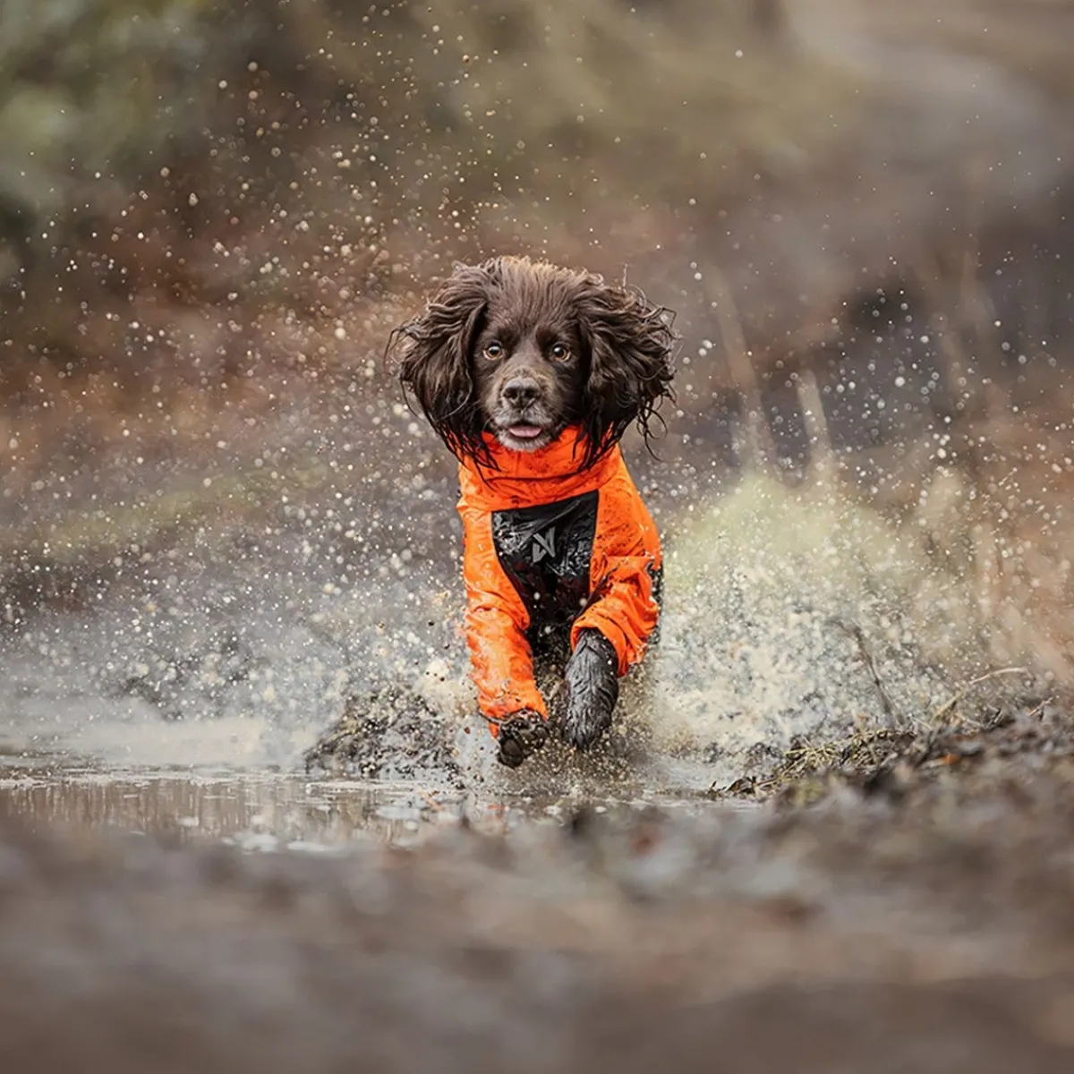 Fjord 2.0 sadehaalari koiralle>Non-stop dogwear Hot