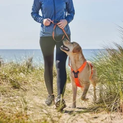 Line harness 5.0, oranssi>Non-stop dogwear Clearance