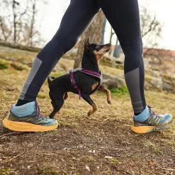 Line harness 5.0, violetti>Non-stop dogwear Discount