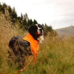 Protector puku, urosmalli>Non-stop dogwear Clearance