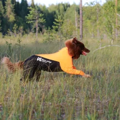 Protector puku, urosmalli>Non-stop dogwear Clearance