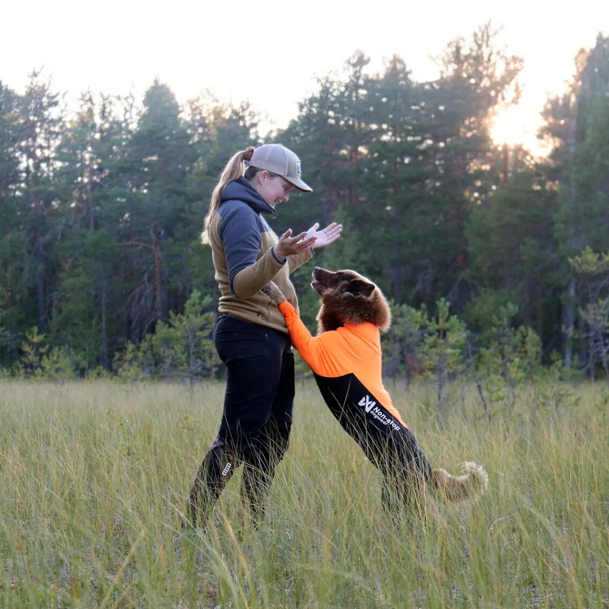 Protector puku, narttumalli>Non-stop dogwear Discount