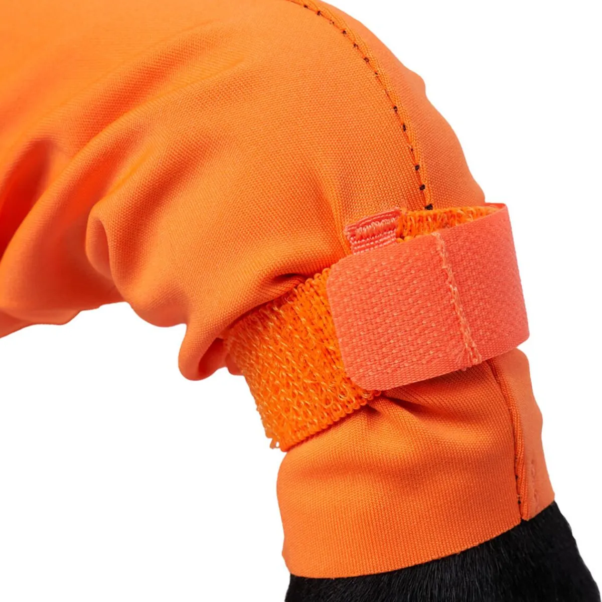 Protector puku, narttumalli>Non-stop dogwear Discount