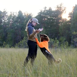 Protector puku, narttumalli>Non-stop dogwear Discount