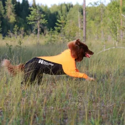 Protector puku, narttumalli>Non-stop dogwear Discount