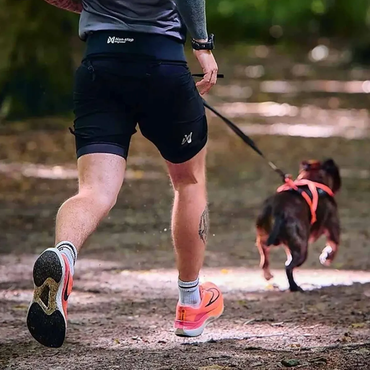 Rush -talutusvyö>Non-stop dogwear Discount