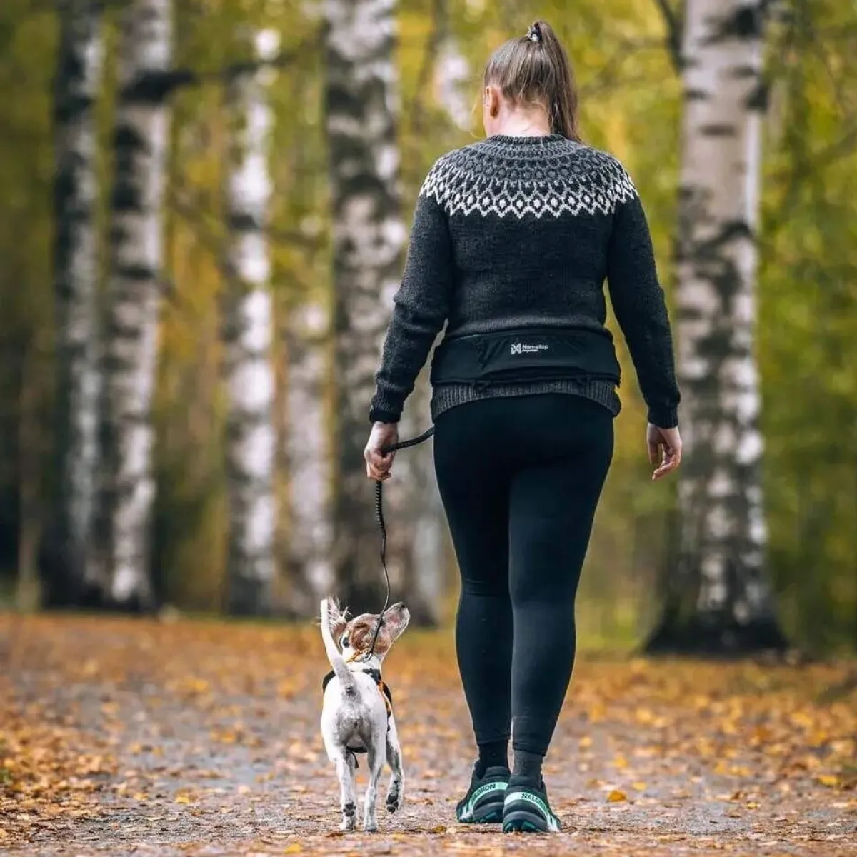 Rush -talutusvyö>Non-stop dogwear Discount