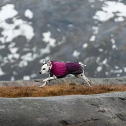 Non-Stop Fjord koiran sadetakki, violetti>Non-stop dogwear Clearance
