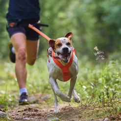 Non-Stop Freemotion valjaat 5.0 musta/oranssi>Non-stop dogwear Sale
