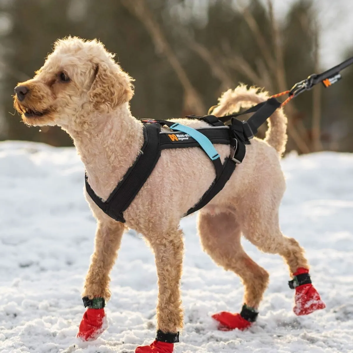 Non-stop Freemotion vetovaljas>Non-stop dogwear Online