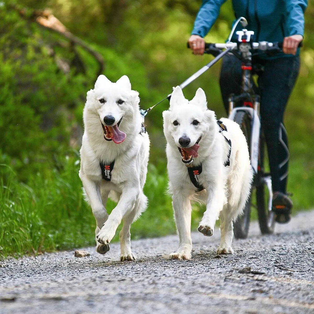 Non-stop Freemotion vetovaljas>Non-stop dogwear Online