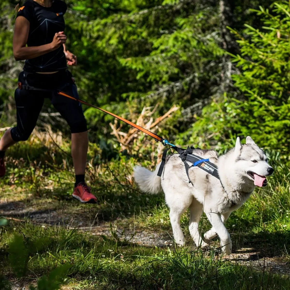 Non-stop Freemotion vetovaljas>Non-stop dogwear Online