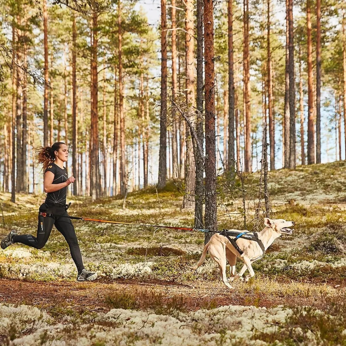 Non-stop Freemotion vetovaljas>Non-stop dogwear Online