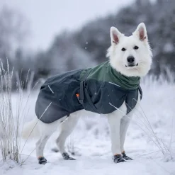 Non-Stop Glacier wool 2.0 talvitakki, vihreä/harmaa>Non-stop dogwear Clearance