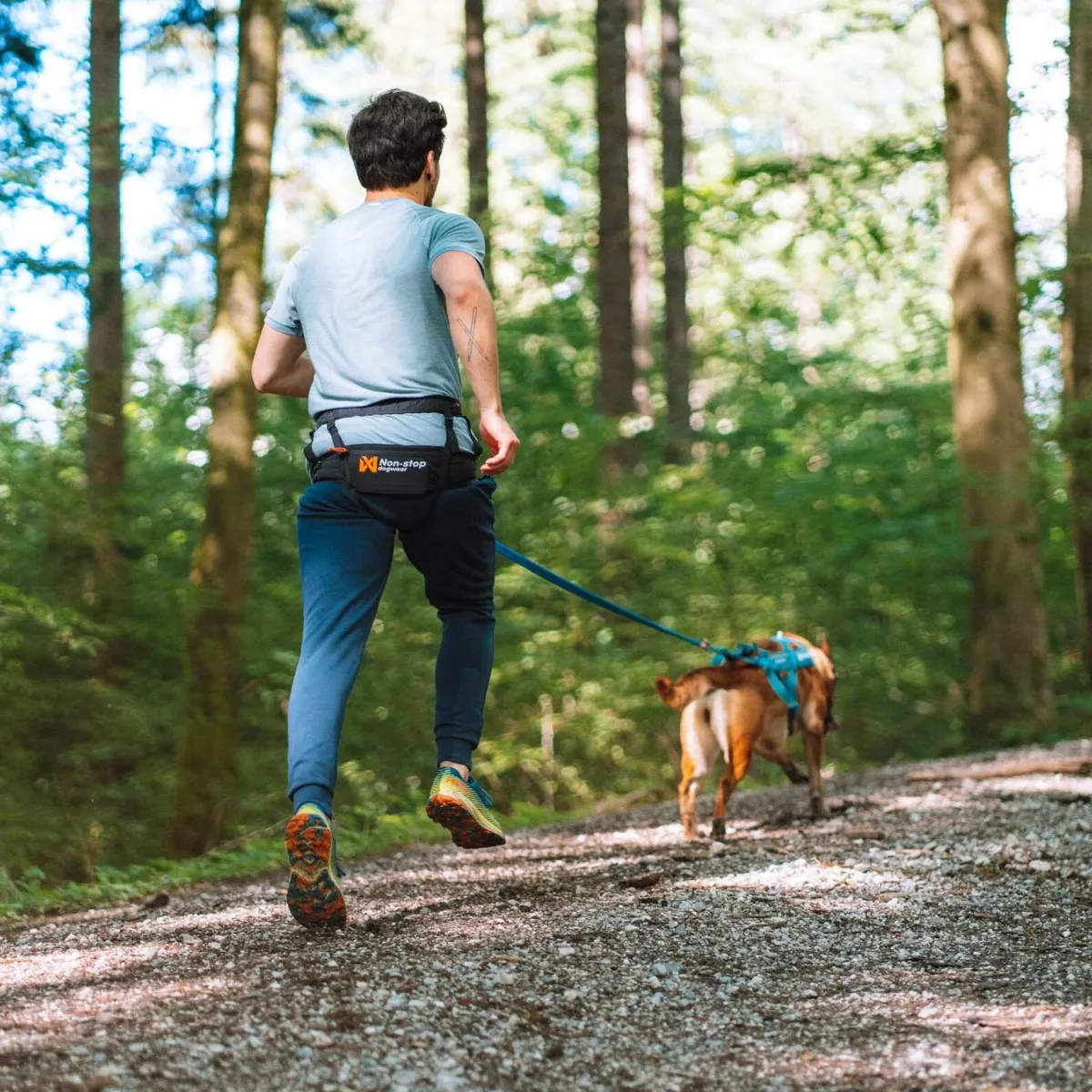 Non-Stop juoksuvyö CaniX 2.0>Non-stop dogwear Sale