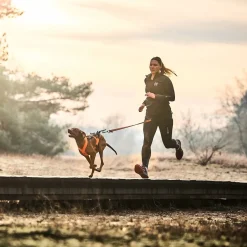 Non-Stop juoksuvyö CaniX 2.0>Non-stop dogwear Sale