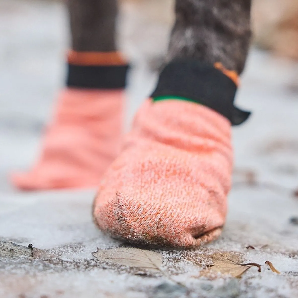 Non-Stop Protector Light koiran tossut, 4 kpl>Non-stop dogwear Clearance