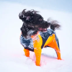 Non-Stop Protector Snow haalari, narttumalli>Non-stop dogwear Best