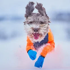 Non-Stop Protector Snow haalari, narttumalli>Non-stop dogwear Best