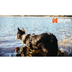 Non-Stop Rock -koiran valjaat, musta/oranssi>Non-stop dogwear Outlet