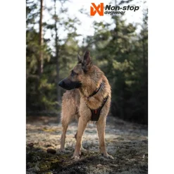 Non-Stop Rock -koiran valjaat, musta/oranssi>Non-stop dogwear Outlet