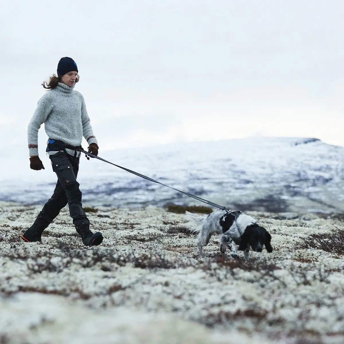 Non-stop Touring Bungee Leash 3.8m>Non-stop dogwear