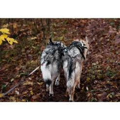 Non-Stop Touring Double Y-jakaja>Non-stop dogwear Best