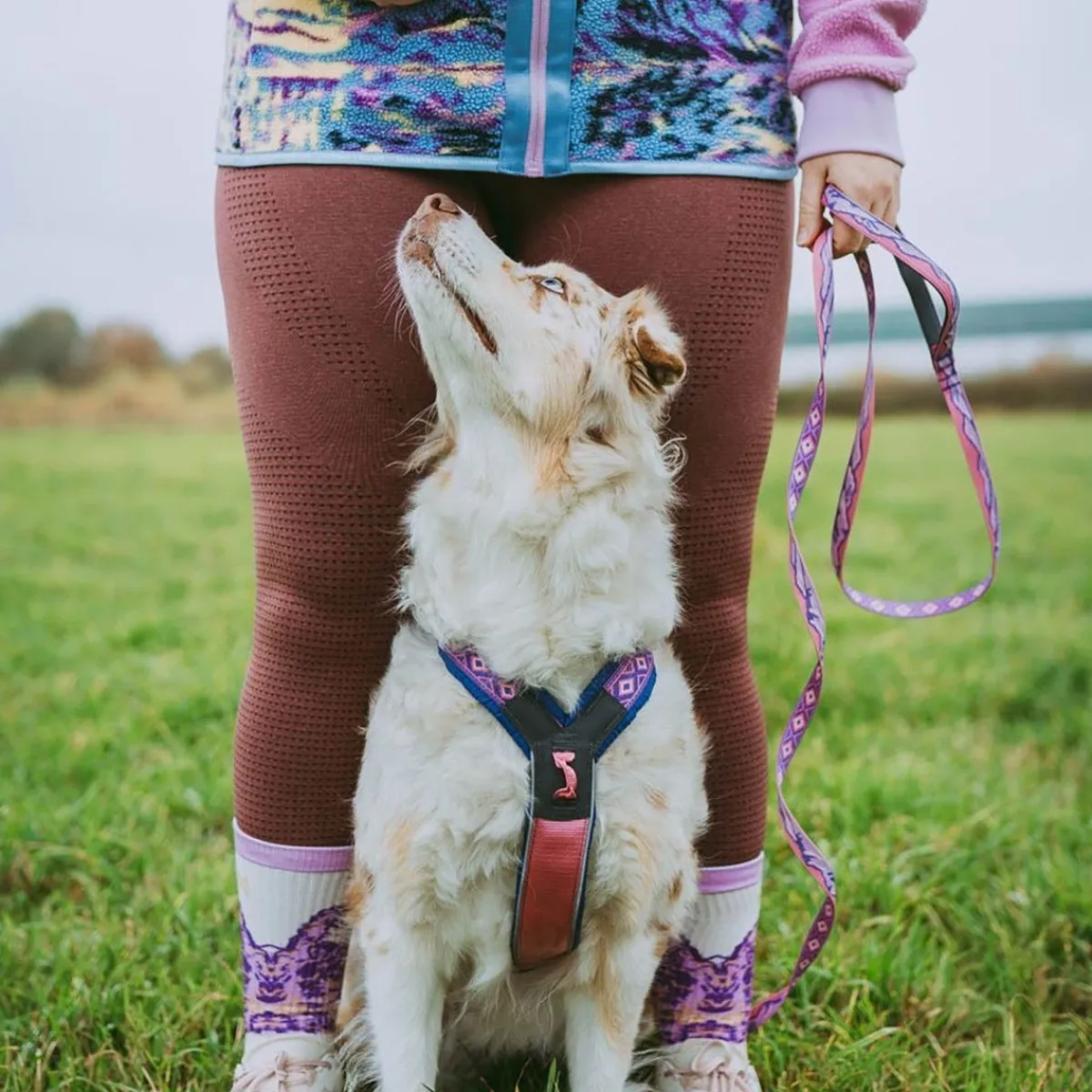 Non-stop Trail Quest Rachel Pohl talutushihna, 2m>Non-stop dogwear