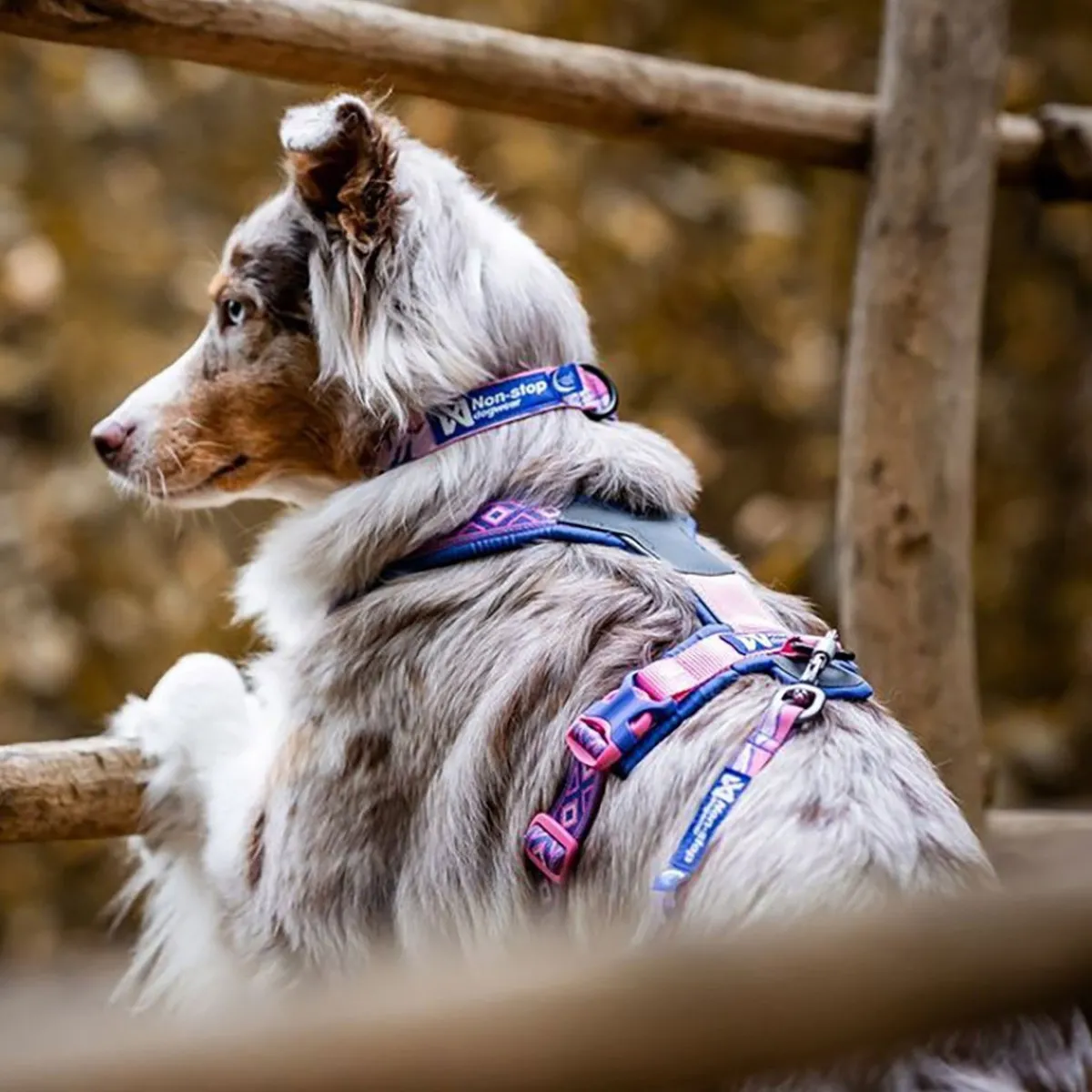 Non-stop Trail quest RP kaulapanta purple/pink>Non-stop dogwear Outlet