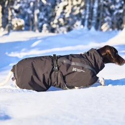 Non-Stop Trekking koiran talvitakki, musta>Non-stop dogwear Online
