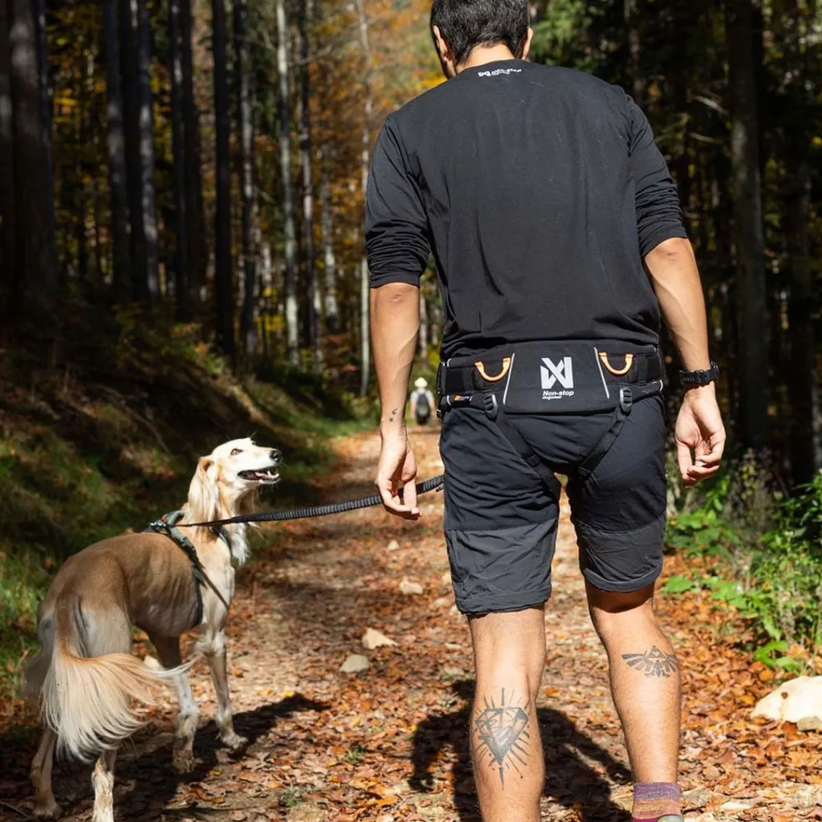 Non-Stop Trekking vetovyö 2.0 musta/harmaa>Non-stop dogwear Sale