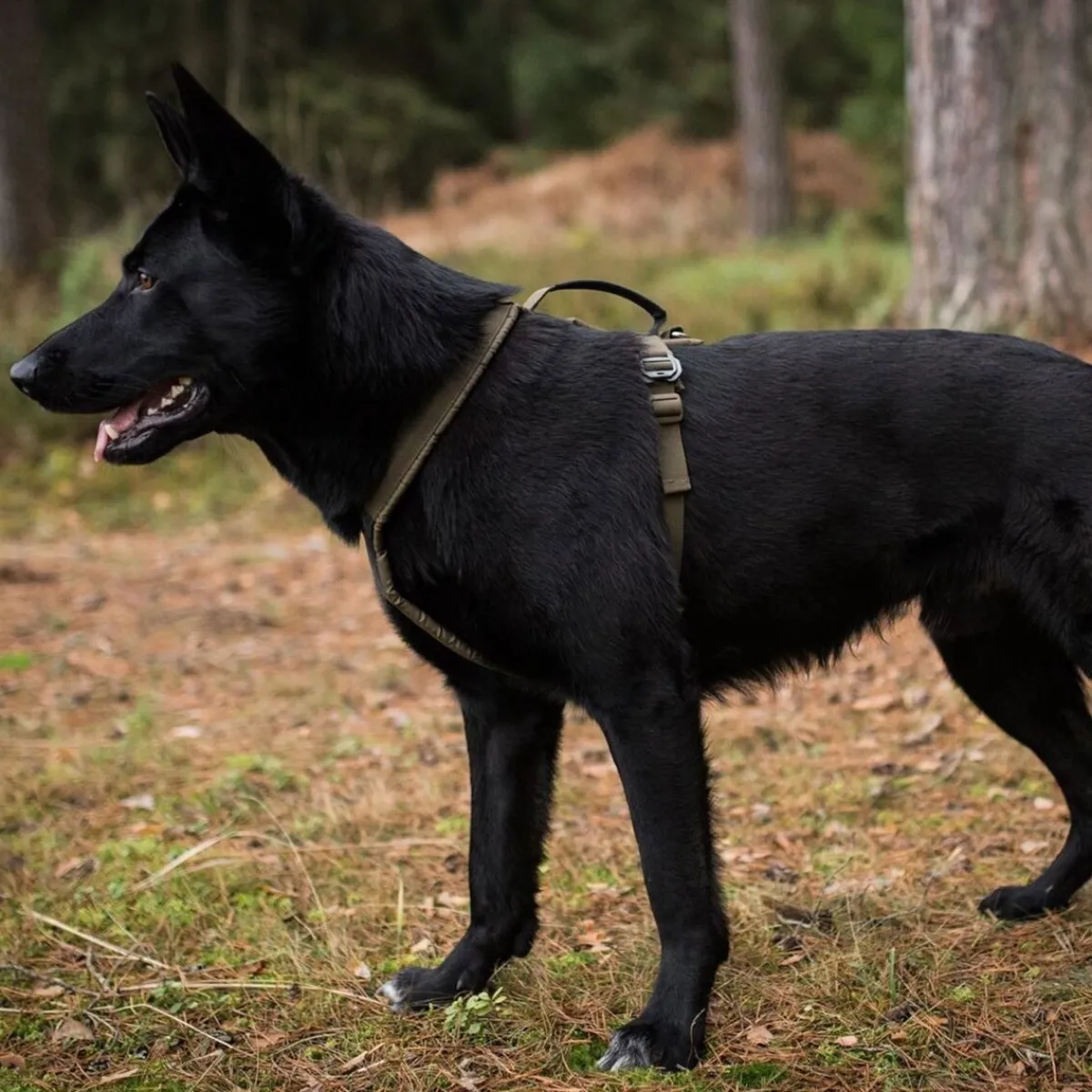 Non-stop valjaat Line Grip Defense, vihreä>Non-stop dogwear