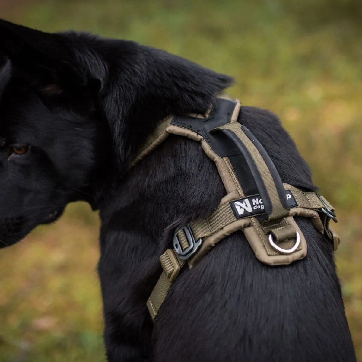 Non-stop valjaat Line Grip Defense, vihreä>Non-stop dogwear