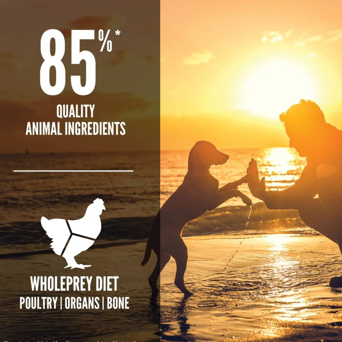 Puppy>Orijen Hot
