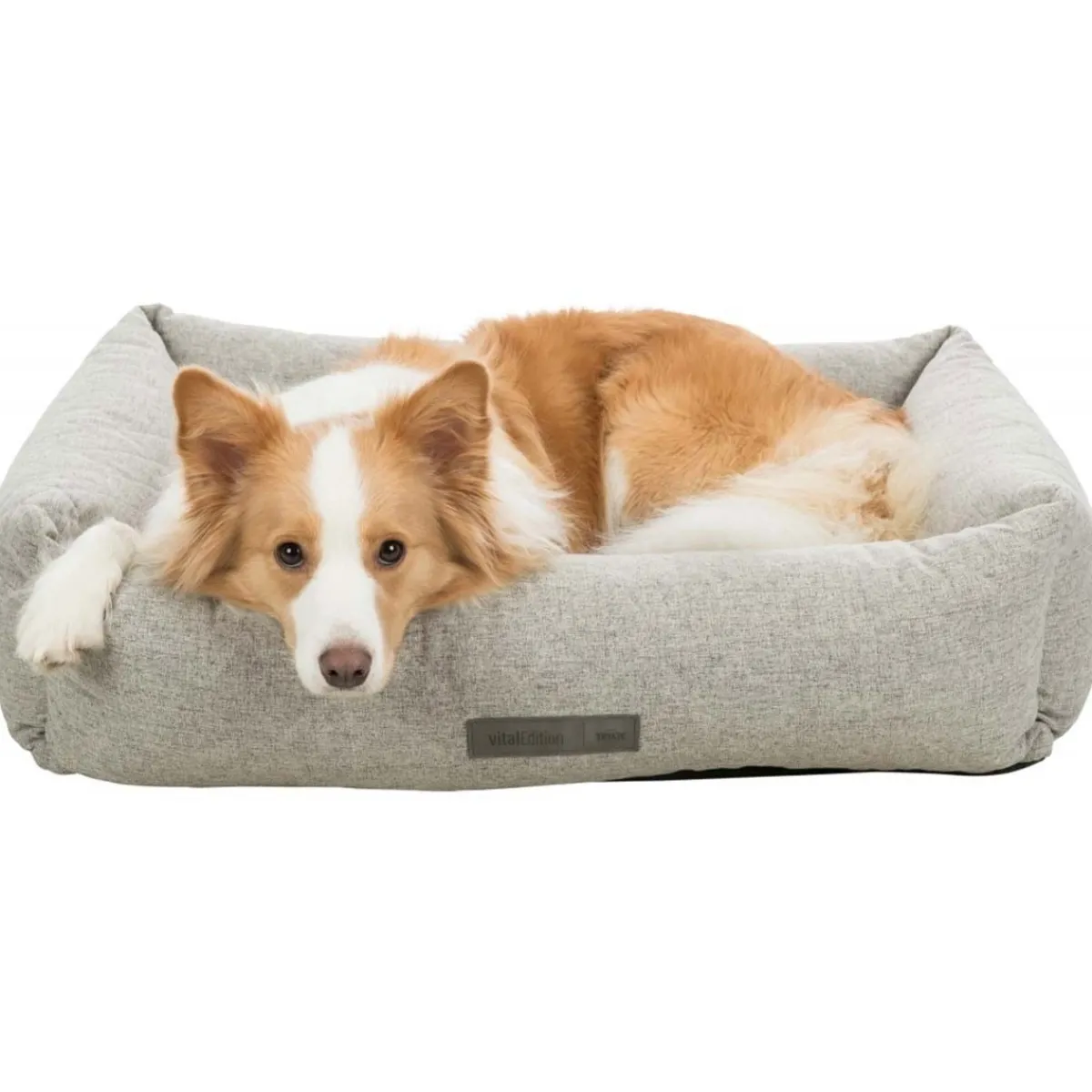 Ortopedinen peti Noah>Trixie Clearance