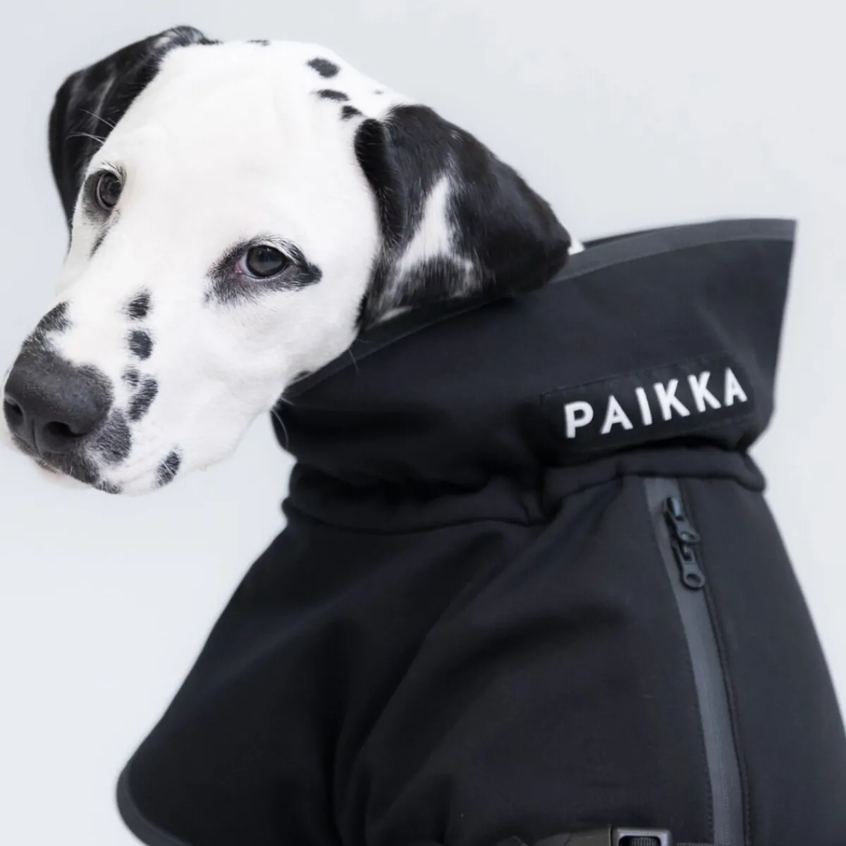 Recovery Softshell-takki, musta>PAIKKA Sale