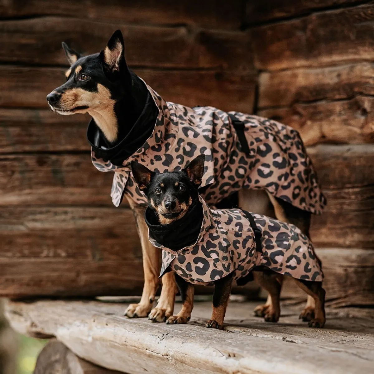Visibility Raincoat Lite -koiran sadetakki, leo>PAIKKA