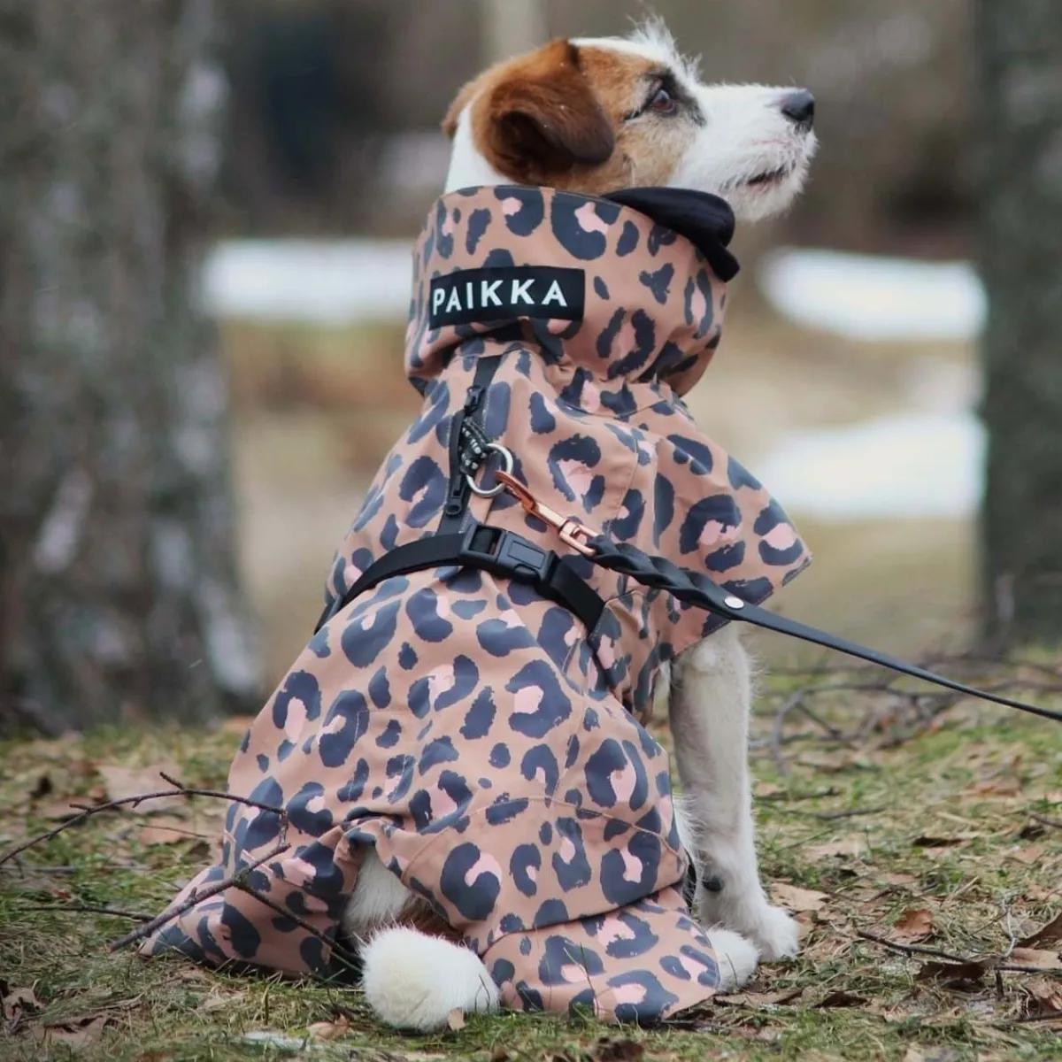 Visibility Raincoat Lite -koiran sadetakki, leo>PAIKKA