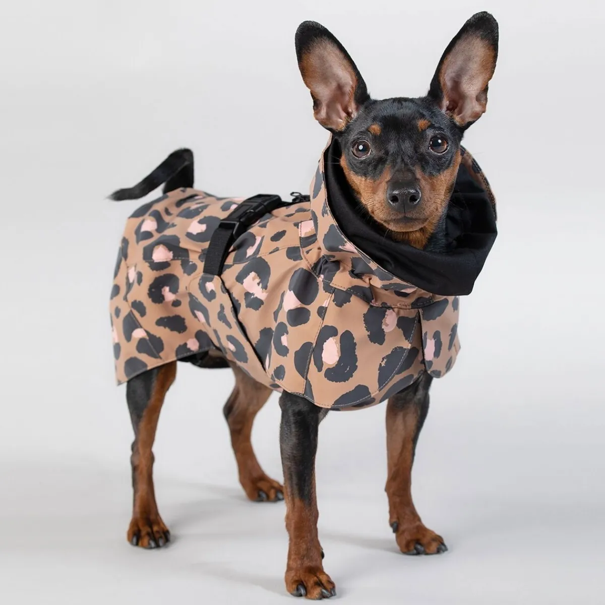 Visibility Raincoat Lite -koiran sadetakki, leo>PAIKKA