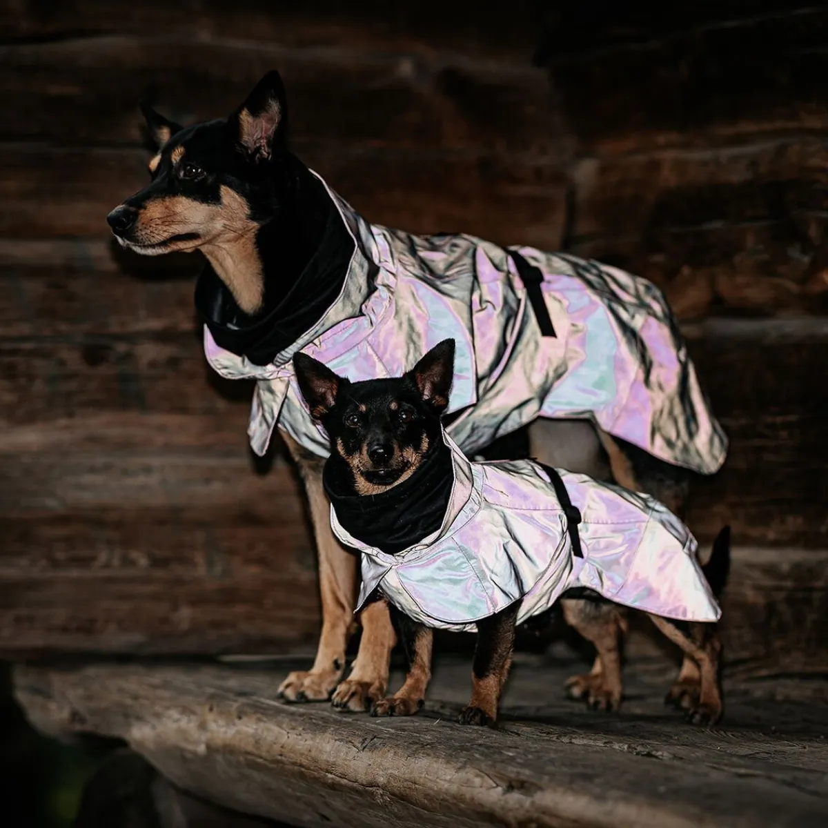 Visibility Raincoat Lite -koiran sadetakki, leo>PAIKKA