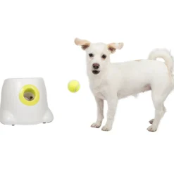 Pallonheittokone Hyper Fetch Mini>All For Paws Outlet