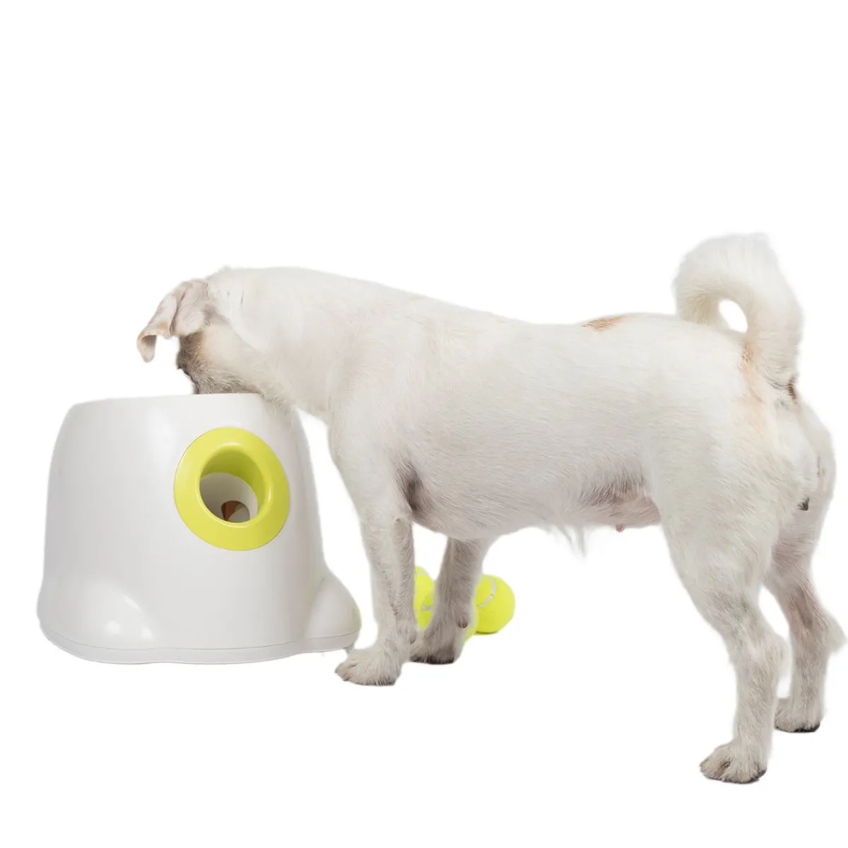 Pallonheittokone Hyper Fetch Mini>All For Paws Outlet