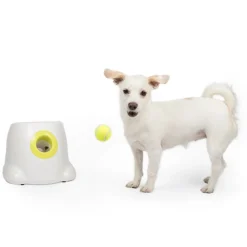 Pallonheittokone Hyper Fetch Mini>All For Paws Outlet