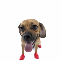 koiran suojatossut, 12 kpl>PawZ Hot