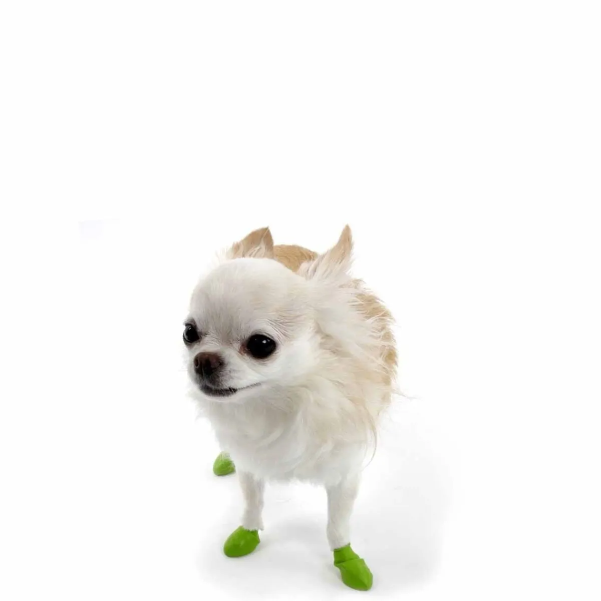 koiran suojatossut, 12 kpl>PawZ Hot